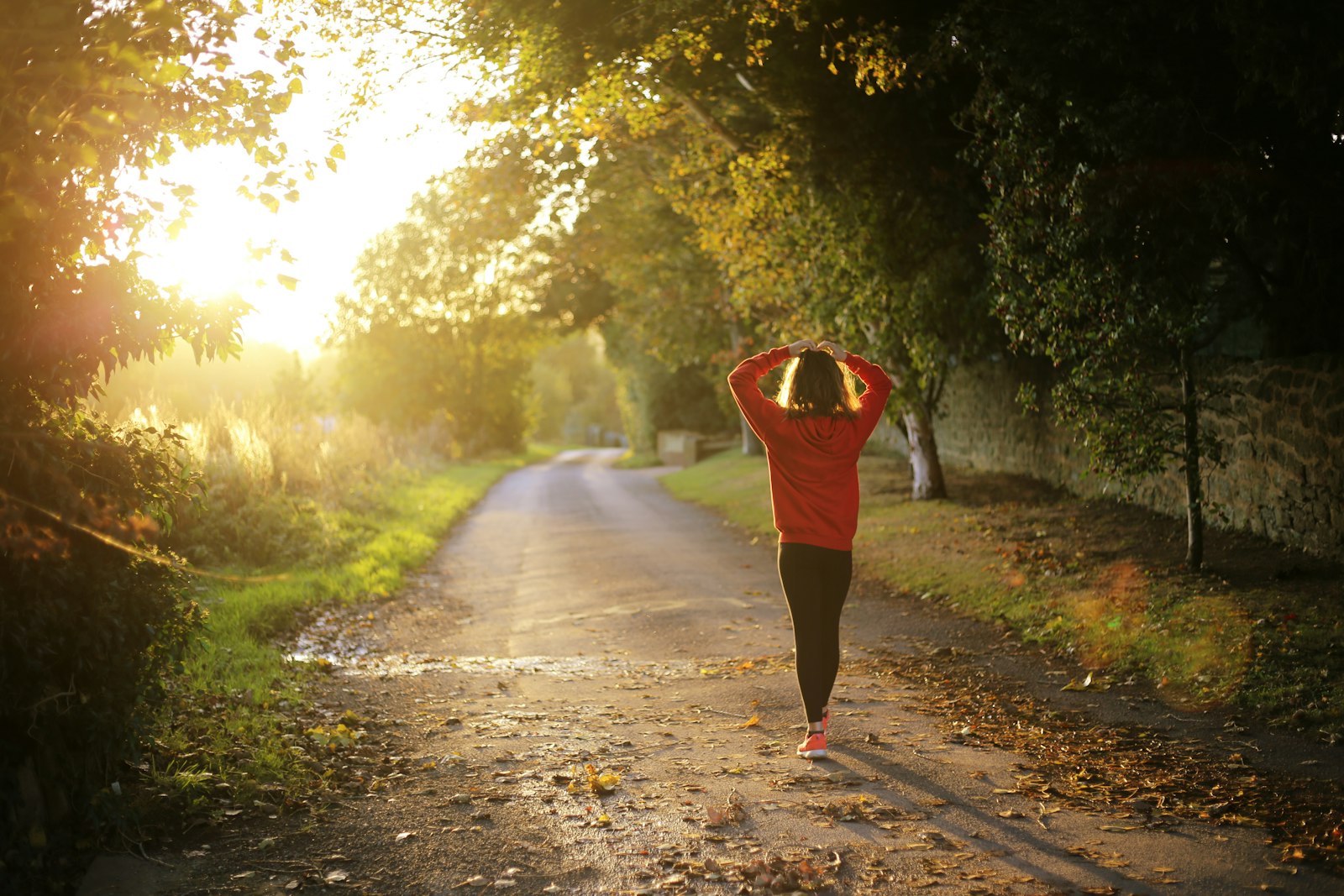 Sustainable healthy lifestyle progress